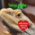 Profile Picture of Adam Kaszubowski (@kaszubowskiadam) on Instagram