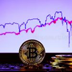Profile Picture of Steven Weber (@globalcryptoclub) on Instagram
