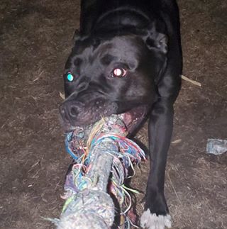 Profile Picture of Chad Richard (@chad.richard.733450) on Facebook