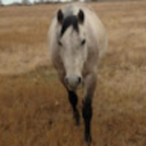 Profile Picture of Taeha Collins (@elksage) on Poshmark