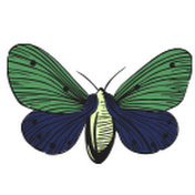 Profile Picture of L. Perkins Consulting (@l.perkinsconsulting9243) on Youtube