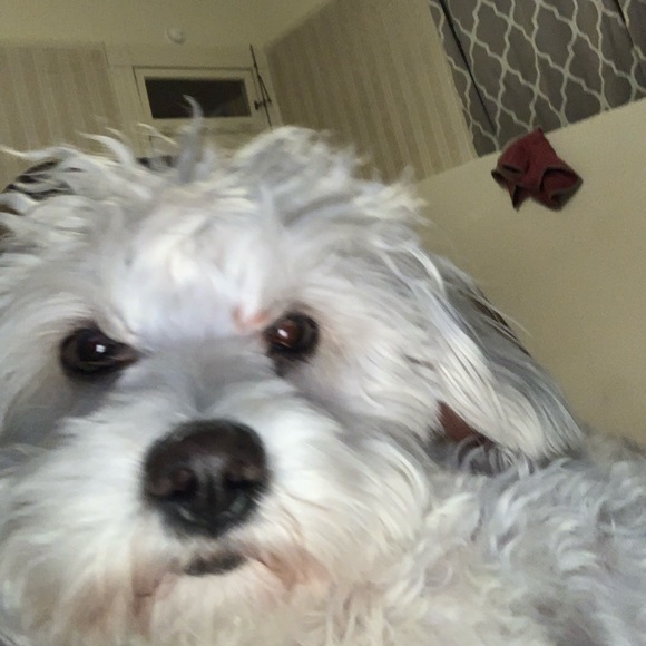 Profile Picture of Emily Alvarez (@xxxem_618) on Poshmark