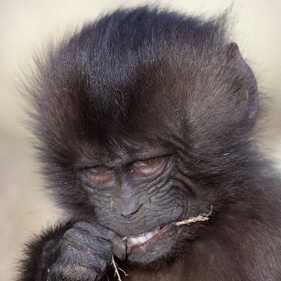 John Jairo Bertel Vega - Twitter Profile Picture of John Jairo Bertel Vega (@bertel_vega) on Twitter