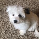 Profile Picture of Bentley Ray (@_bentley_ray_) on Instagram