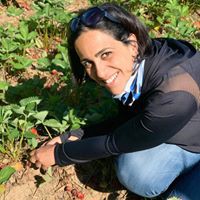 Profile Picture of Reem Nouh (@reem-nouh) on Quora