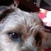 Profile Picture of Steven Yelland (@steven.yelland.169) on Facebook