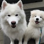 Profile Picture of Ariel and Sullivan Dilley (@arielandsully) on Instagram