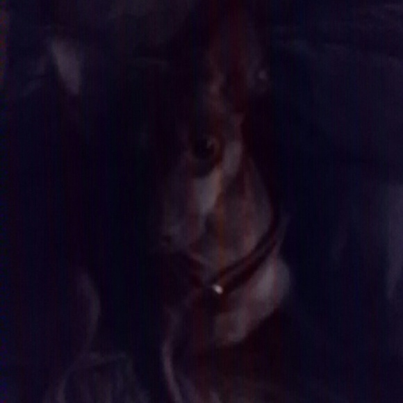 Profile Picture of Dawn Bokelman (@dawnbokelman) on Poshmark