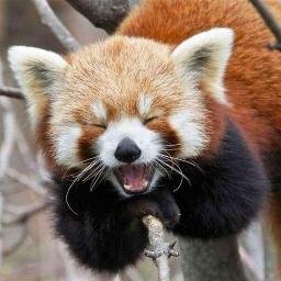 Profile Picture of Jason Sowell (@inxopneh) on Twitter