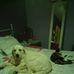 Profile Picture of Rene Senecal (@rene.senecal.144) on Facebook