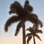Profile Picture of Luke Roach (@roach_luke) on Instagram
