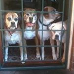 Profile Picture of Paul Batts (@paul.batts.73) on Instagram