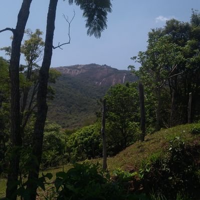 Profile Picture of Jim Tak (@JimTak6) on Twitter