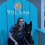 Profile Picture of Craig Alward (@cralward) on Instagram