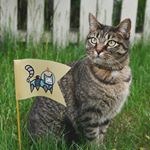 Profile Picture of Chrisann Joylette Anderson (@chris1amaze) on Instagram