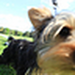 Profile Picture of jun li (@anotherjun) on Flickr