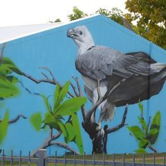 Profile Picture of Christopher Blow (@christopherblow1) on Tiktok