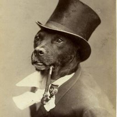 Profile Picture of Joseph Gallagher (@jophuds) on Twitter