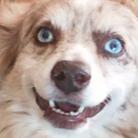 Profile Picture of Suzanne Westfall (@suzanne-westfall-5) on Quora