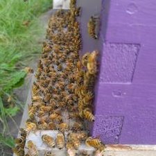 Christopher John Donoghue - Twitter Profile Picture of Christopher John Donoghue (@counselorchris1) on Twitter