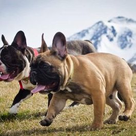 Profile Picture of Claudia Patricia Gan (@claudia_gan) on Twitter