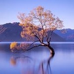 Profile Picture of Gary Fraser (@geefraser38) on Instagram