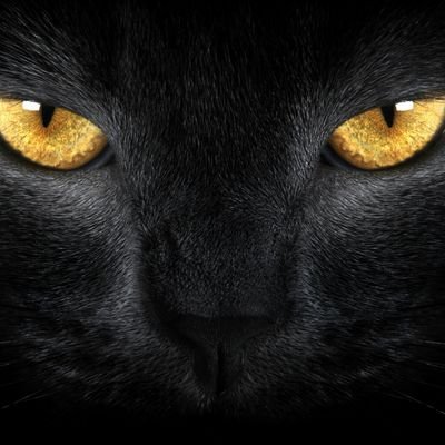 Profile Picture of Alexander Mata (@Alexandermata65) on Twitter