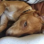 Profile Picture of Brian.Reding (@brian.reding) on Instagram