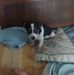 Profile Picture of Kevin Crager (@kevin.crager.1) on Facebook