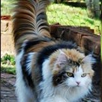 Profile Picture of Asmaa anwar (@asmaa__anwar) on Instagram