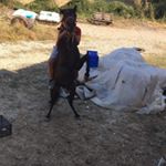 Profile Picture of tomaras_junior (@panoss_tomaras) on Instagram