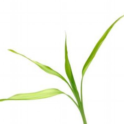 Profile Picture of Neely W. Hunter, LMT (@massagebyneely) on Twitter