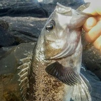 Profile Picture of Justin Szymanski (@justin-szymanski-6) on Quora