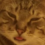 Profile Picture of matthew (@matthew_max69) on Instagram
