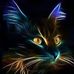Profile Picture of Randy Morrill (@randy.morrill.54) on Facebook