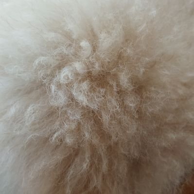 Profile Picture of Jerome Chong (@Jeromecjl) on Twitter