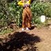 Profile Picture of Kabira Kabira (@kabira.kabira.123829) on Facebook