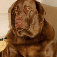 Profile Picture of Eva Osusky (@eosusky) on Pinterest