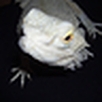 Haila Ahmed - Flickr Profile Picture of Haila Ahmed (@aliahaila) on Flickr