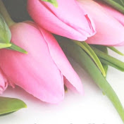 Profile Picture of David Mona (@Davidmona8844) on Youtube