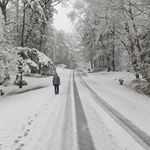 Profile Picture of ryan (@ryan.shultz) on Instagram