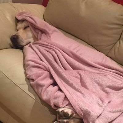 Profile Picture of Stuart Thomson (@s_malcolm7) on Twitter