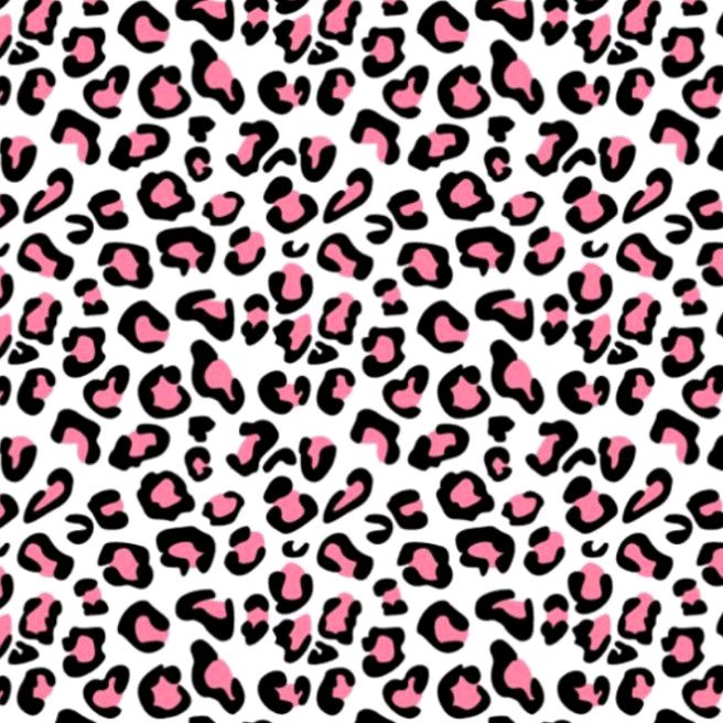 Profile Picture of lisakokoko cute je (@lisasemkokoko) on Tiktok