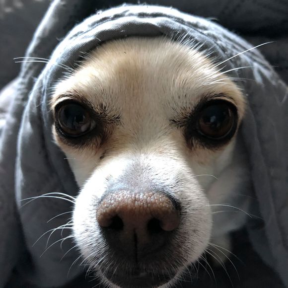 Profile Picture of Tim Barlow (@timjbarlow) on Poshmark