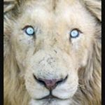 Profile Picture of Randy Brinkman (@randy.brinkman.3) on Instagram