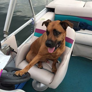 Brad Santmyer - Facebook Profile Picture of Brad Santmyer (@brad.santmyer) on Facebook