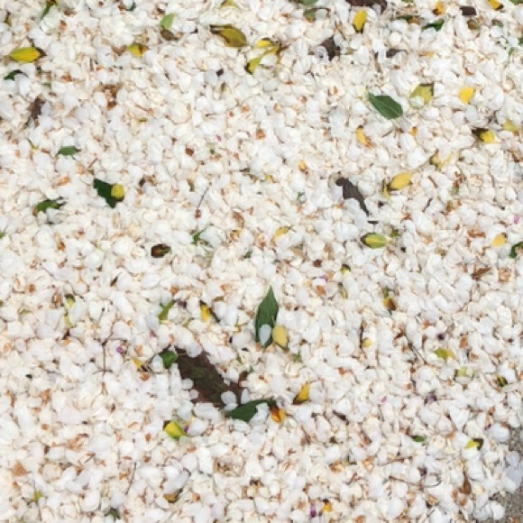 Profile Picture of Lauren Donsbach (@ldons) on Poshmark