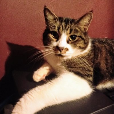 Profile Picture of Shelly Prather (@sprather315) on Twitter