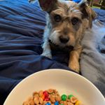 Profile Picture of Fletcher (@fletcher_holmes4) on Instagram