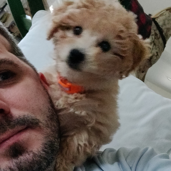 Profile Picture of Corey Geiger (@coreylgeiger) on Poshmark